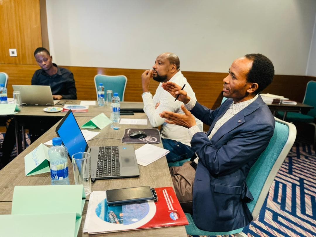 IMED consultants and partners in a collaborative strategy session
